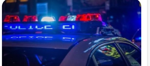 Pedestrian Dies In Fatal Collision On Calder Freeway In Harcourt